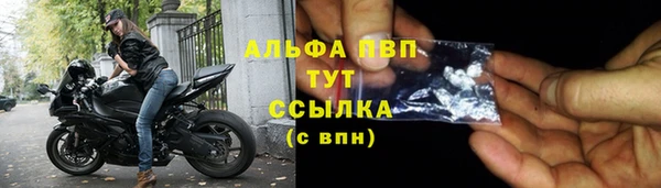 дживик Костерёво