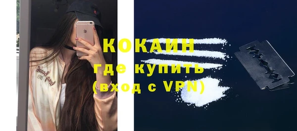 дживик Костерёво