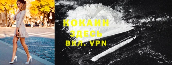 дживик Костерёво