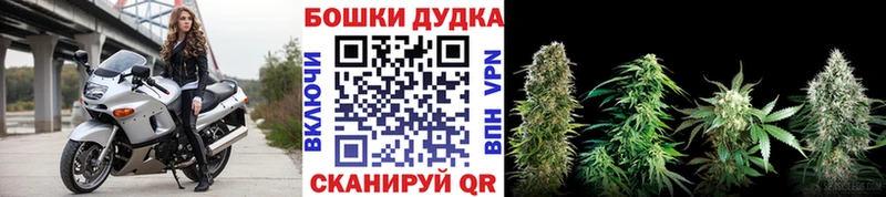 Конопля SATIVA & INDICA  Купить где  Ялта 